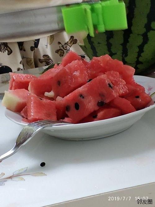 免费网红吃瓜神器视频,免费视频带你畅享娱乐盛宴